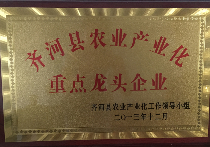 重點龍頭企業(yè)