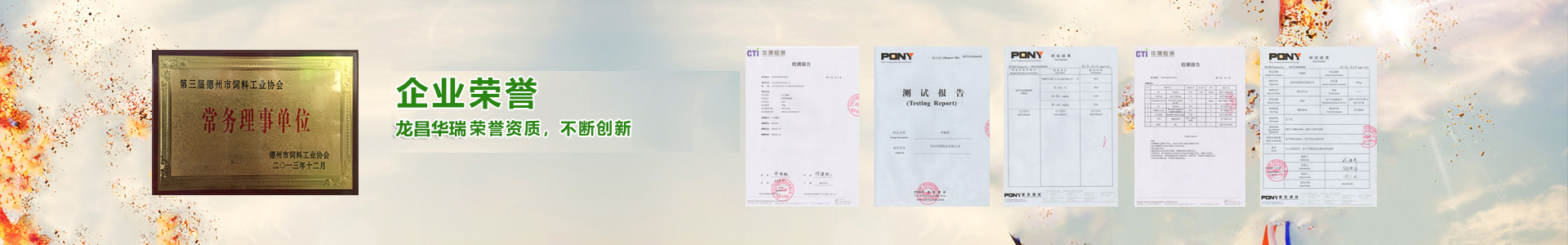 榮譽(yù)資質(zhì) 榮譽(yù)資質(zhì)