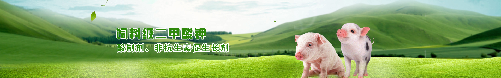 二甲酸鉀 二甲酸鉀