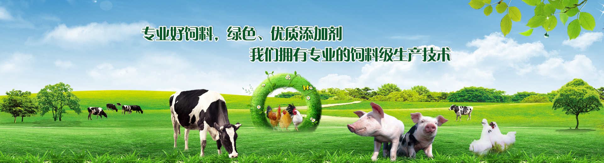 飼料級(jí)雙乙酸鈉 飼料級(jí)雙乙酸鈉