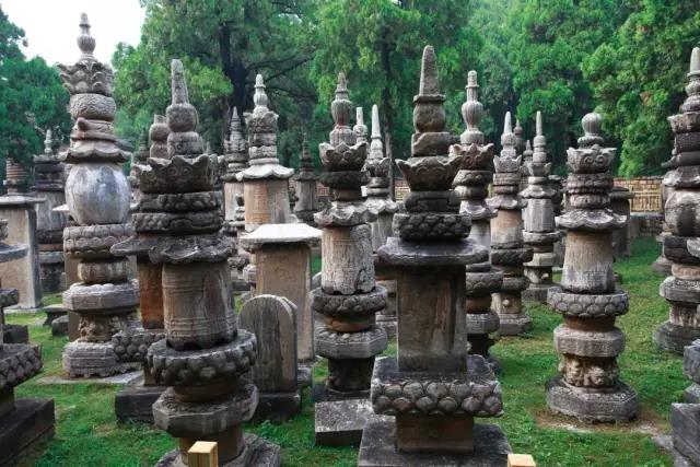 1536810930886771.jpg 1536810930886771.jpg