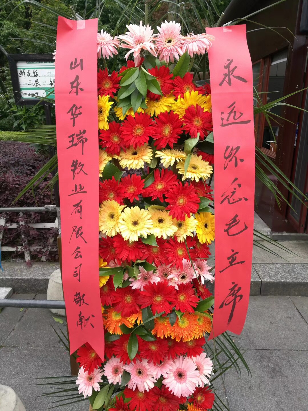 1537335269317571.jpg 65.jpg