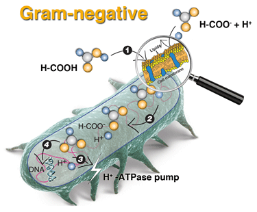1537929004927922.gif 微信圖片_20180926102456.gif