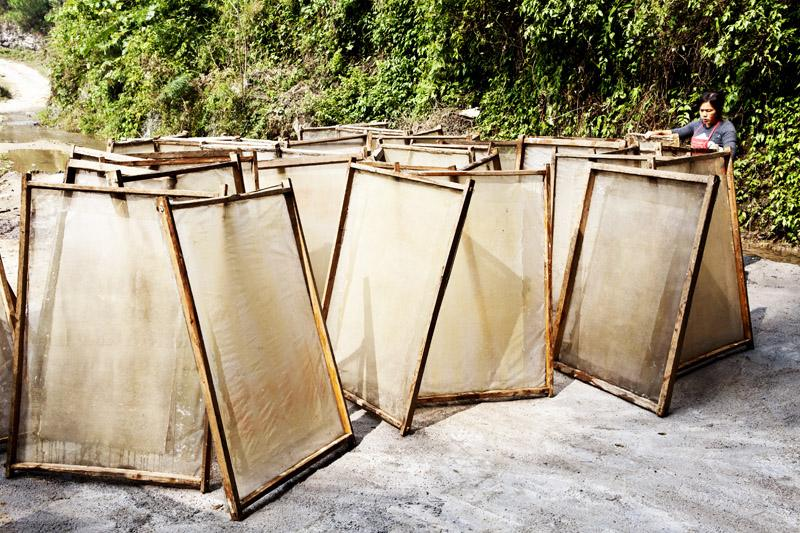 雙乙酸鈉應(yīng)用范圍 雙乙酸鈉應(yīng)用范圍