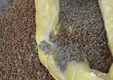 雙乙酸鈉預(yù)防飼料發(fā)霉 雙乙酸鈉預(yù)防飼料發(fā)霉