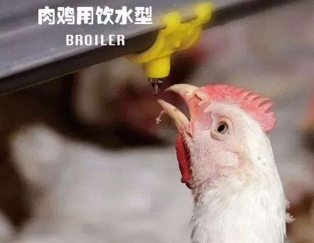 1555300227354976.jpeg 41919c28b23748e490f73bd81c700c0e.jpeg