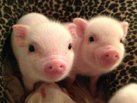 1557105623405643.jpg timg.jpg