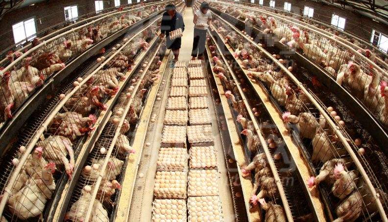 1557813933315522.jpg timg.jpg