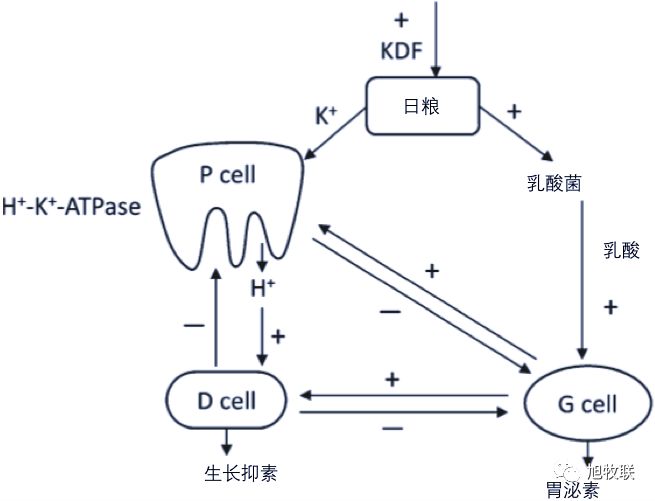 1557979171441911.jpg 微信圖片_20190516115807.jpg