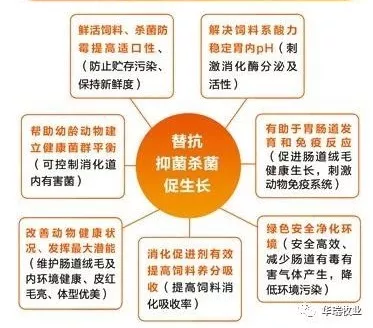 1559182099290736.png 微信圖片_20190508093244.png