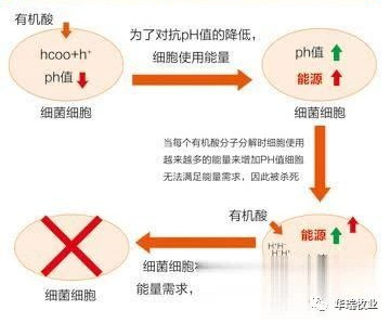 1559182217524449.jpg 0.jpg