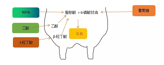 1566782225247596.png 微信圖片_20190826091610.png