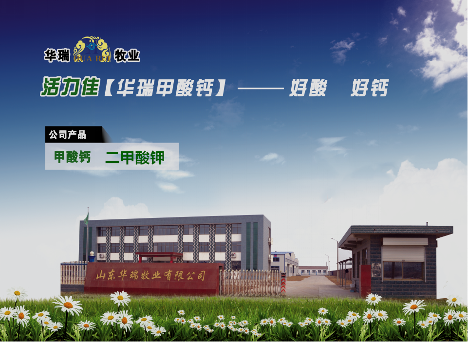 1568602997228753.png 1 (1).png