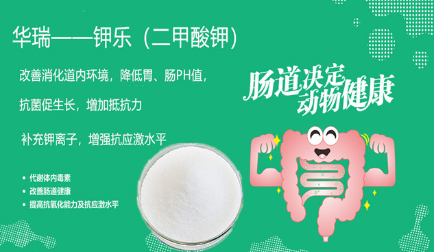 1573097118646688.jpg 微信圖片_20190719141405_副本.jpg