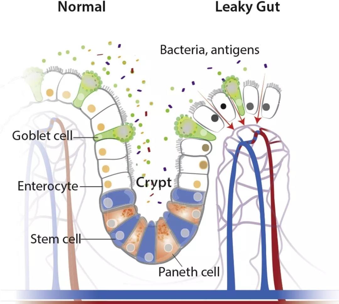1581560421779155.jpg 微信圖片_20200213101636.jpg