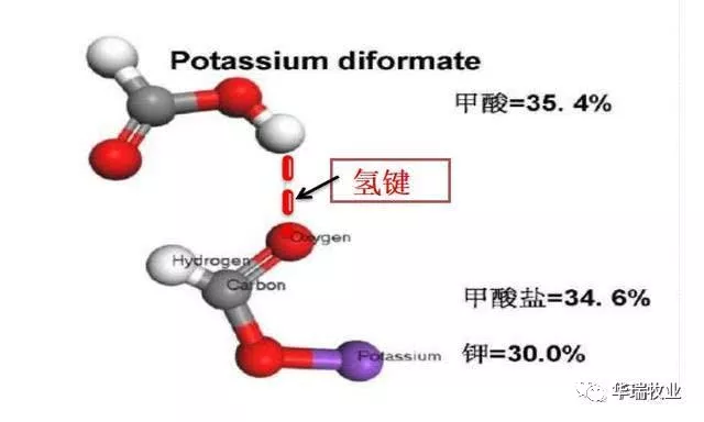 1583390744649255.png 微信圖片_20191118090025.png