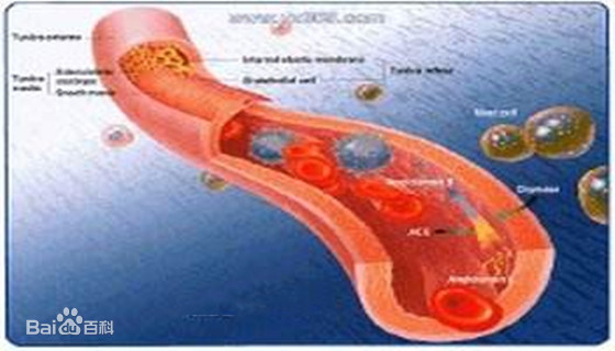 1584412267134917.jpg 3ac79f3df8dcd100b8c47f3a7d8b4710b9122f54.jpg