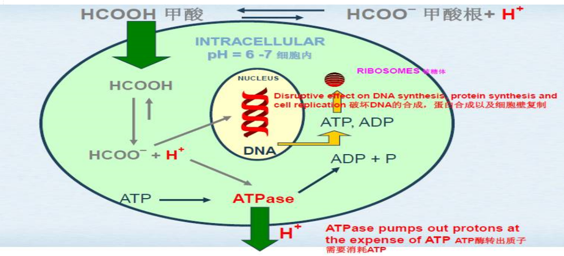1585096034425984.png 微信圖片_20190801081456.png