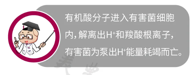 1589336766492502.png 微信圖片_20200513094805.png