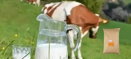 1592184049662718.jpg u=3018962889,152787996&fm=26&gp=0.jpg