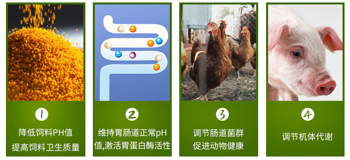 1594347365923650.png 微信圖片_20200506134951.png