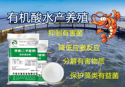 1595223124898153.jpg timg.jpg