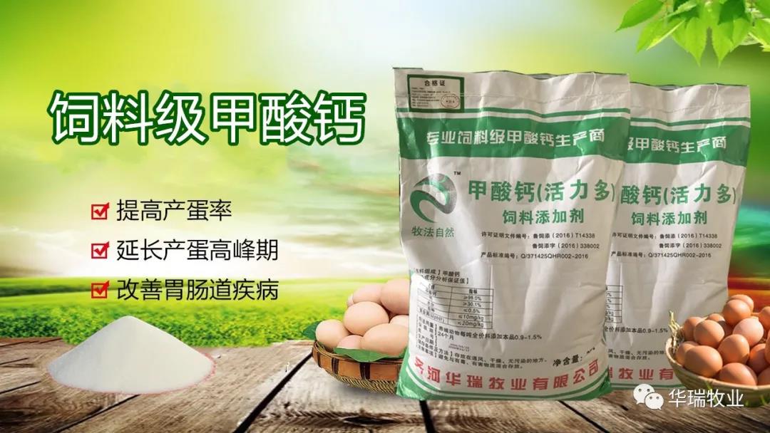 1600309700788013.jpg 微信圖片_20200902133856.jpg