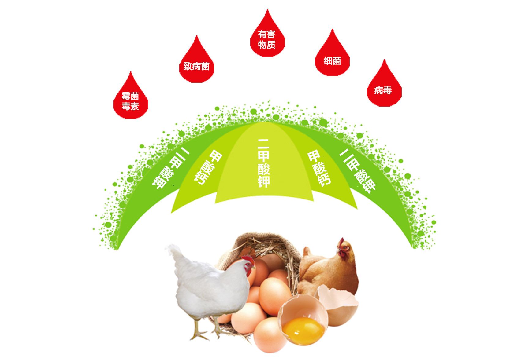 1604545500352439.jpg 15457050294702085.jpg