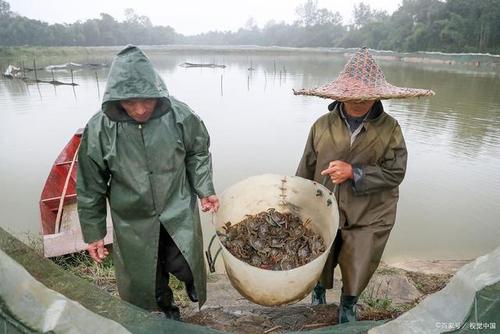 1605837547921369.jpg u=3255655216,684019616&fm=11&gp=0.jpg