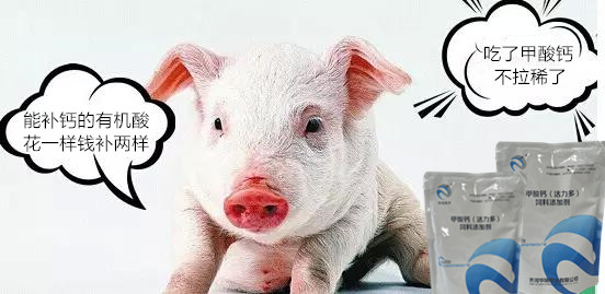 1608261780957186.jpg u=465139273,1795419362&fm=26&gp=0.jpg