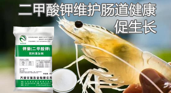 1608864045586695.jpg u=3311103578,4112104337&fm=15&gp=0_副本.jpg