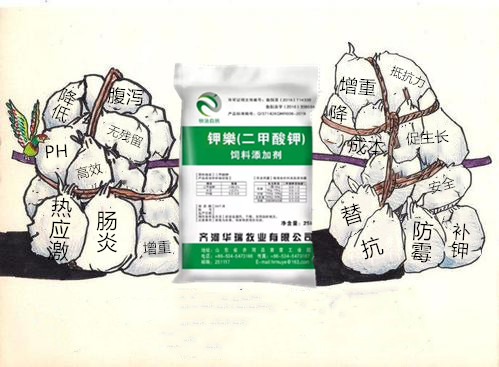 1609122908878754.jpg u=836635232,2769422964&fm=26&gp=0_副本.jpg