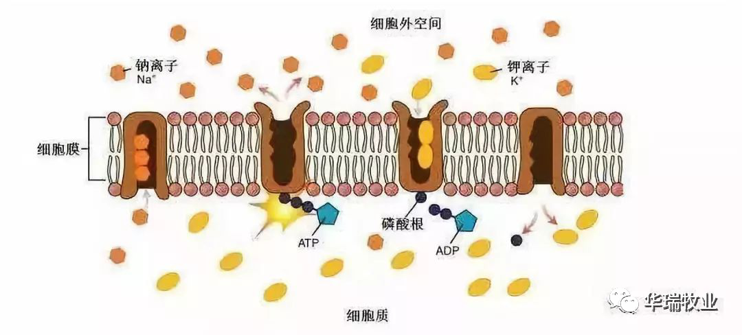 1614675400572937.png 640.png