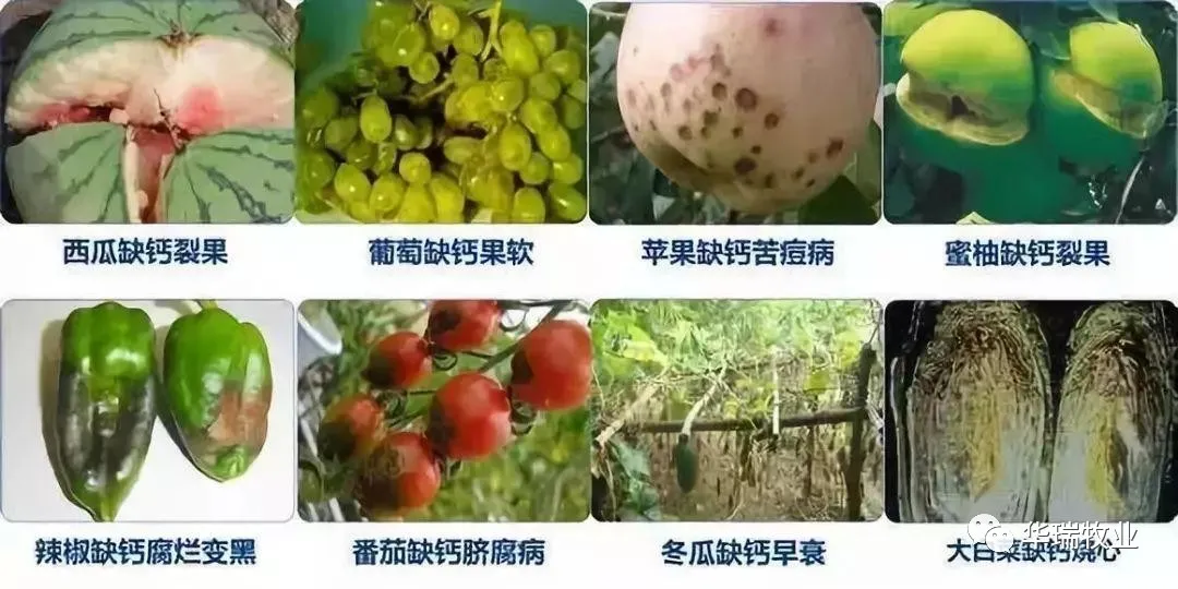 1625475366453004.png 微信圖片_20210705165544.png