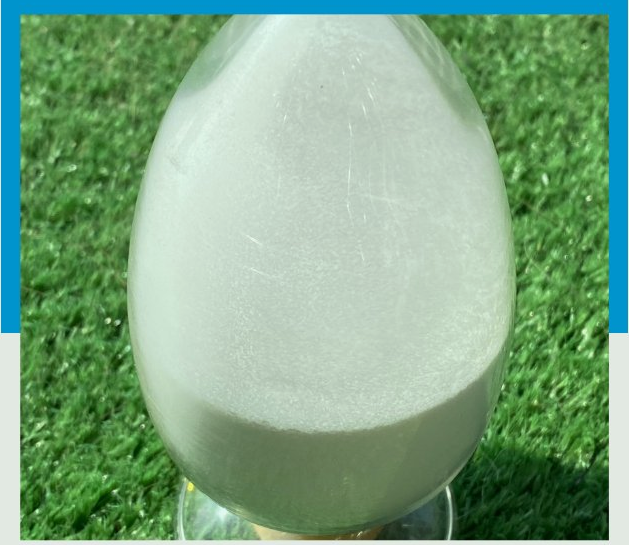 1645493116804303.png image.png