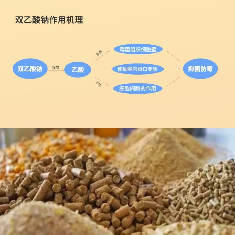 1647219515386514.jpg 微信圖片_20220314085805.jpg