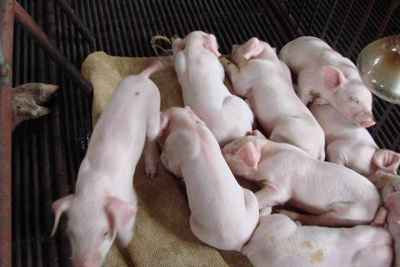 1655793188378264.png 1.png