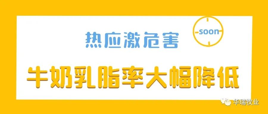 1657001341213341.jpg 5.jpg