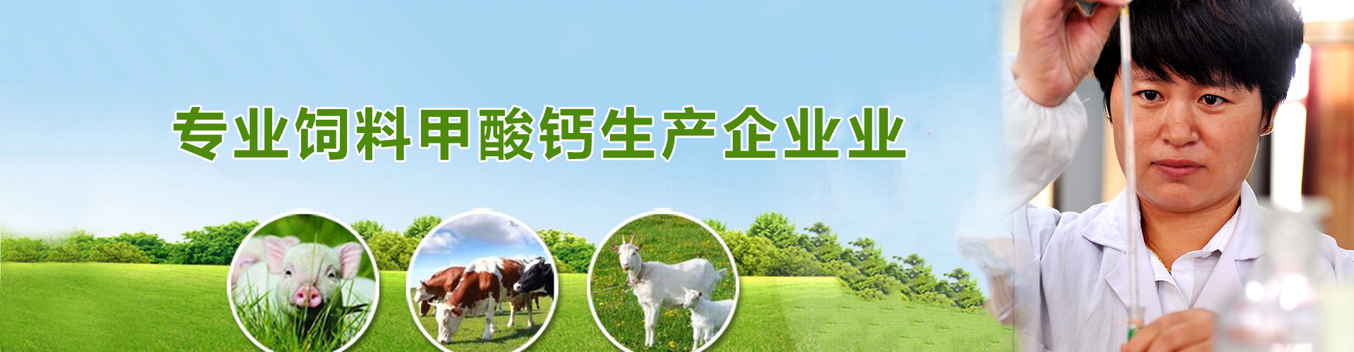 專業(yè)飼料級甲酸鈣生產(chǎn)企業(yè) 專業(yè)飼料級甲酸鈣生產(chǎn)企業(yè)