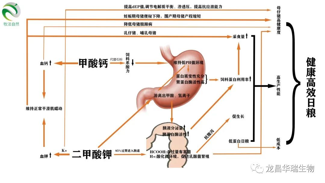 1668568335560769.jpg 1.jpg