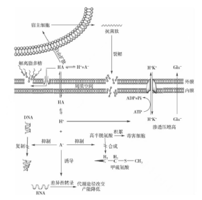 1670219536218204.png image.png