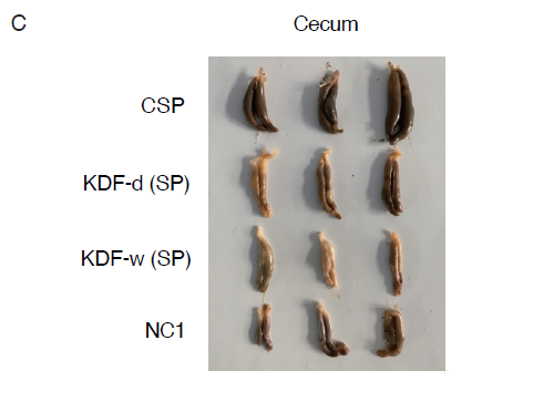 1677641840338518.png 3.png