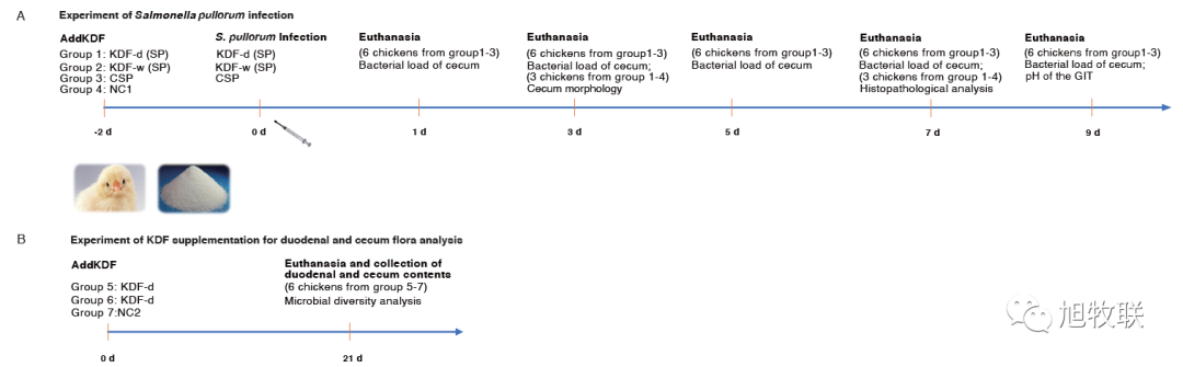 1705024035655380.png 640.png