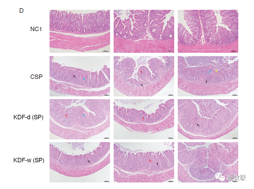 1705024089932379.png 5.png