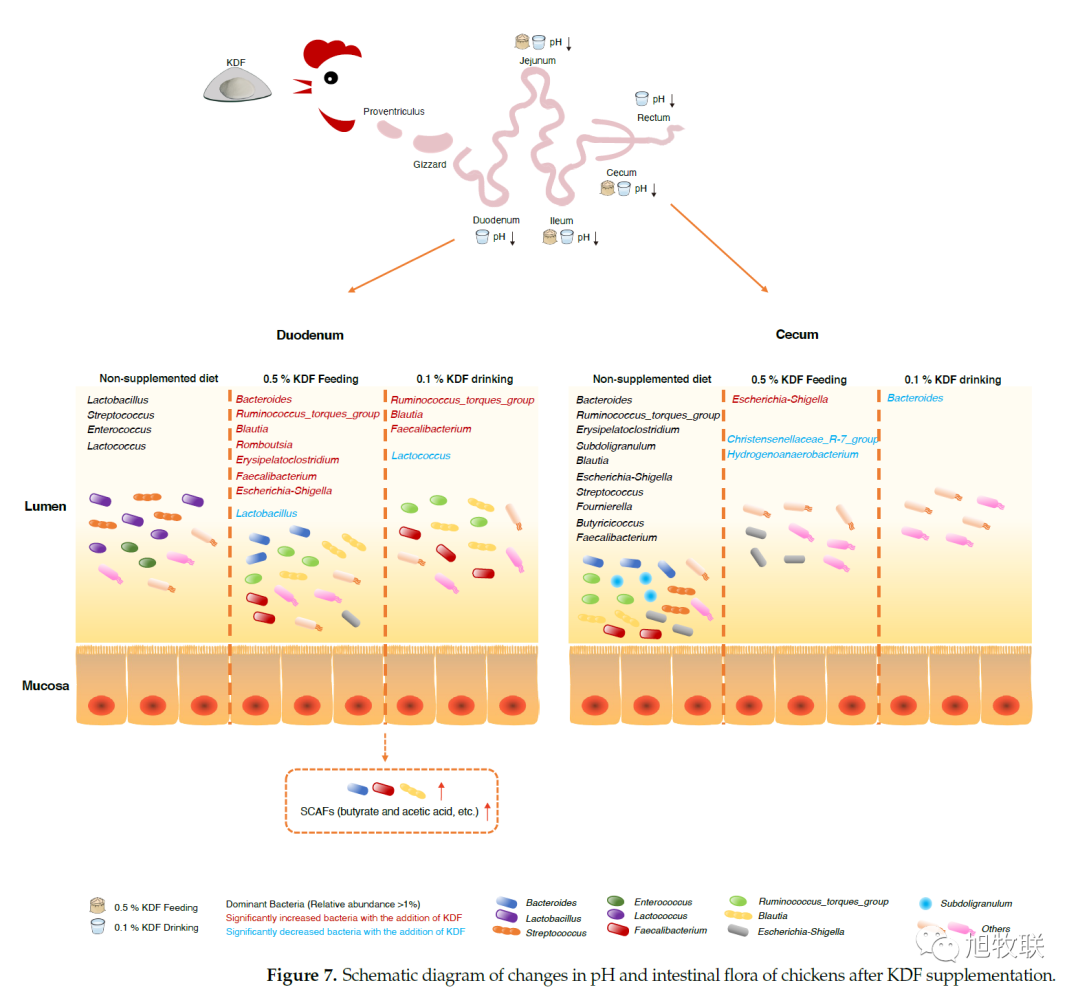 1705024100561347.png 6.png