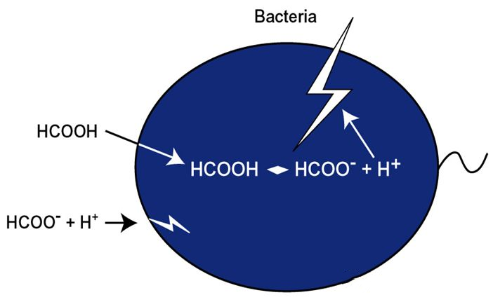 1710902573630333.png 微信圖片_20240320095644.png